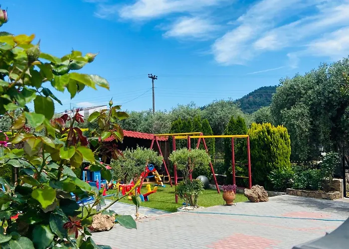 Summer Dreams Studios