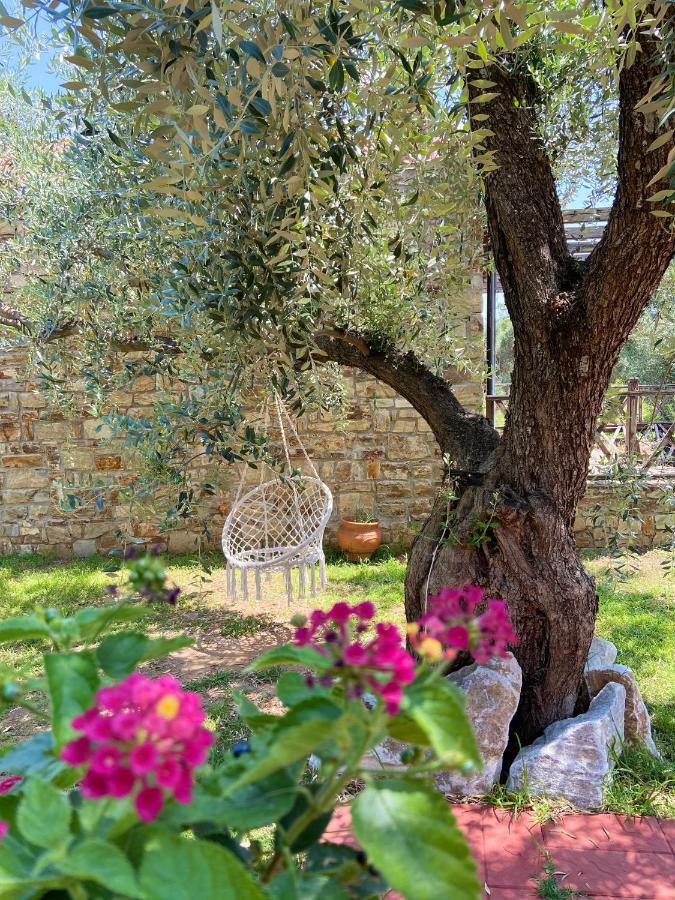 Apartment Summer Dreams *